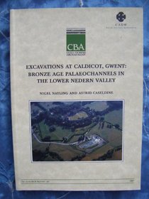 Excavations at Caldicot, Gwent (Research Report)