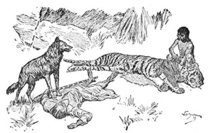 Os Livros da Selva. Contos de Mowgli e Outras Histrias (Em Portuguese do Brasil)
