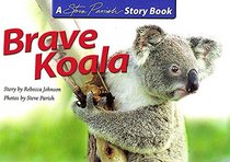 Brave Baby Koala