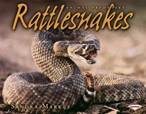 Rattlesnakes (Animal Predators)