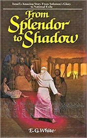 From Splendor to Shadow