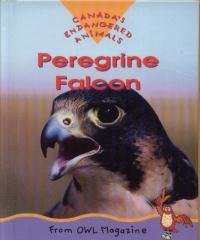 Peregrine Falcon: Endangered Animals Series