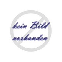 Carl Czerny und die Einzelhaft am Klavier, oder, Die Kunst der Fingerfertigkeit und die industrielle Arbeitsideologie (German Edition)