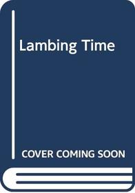 Lambing Time