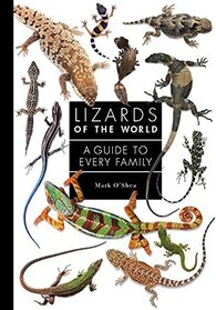 Lizards of the World: A Guide to Every Family (A Guide to Every Family, 1)