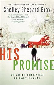 His Promise (The Amish of Hart County, Bk 6)