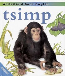 Tsimp (Anifeiliad Bach Gwyllt) (Welsh Edition)