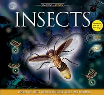 Learning in Action: Insects