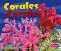 Corales/Corals (Bajo Las Olas/Under the Sea series) (Spanish Edition)