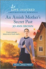 An Amish Mother's Secret Past (Green Mountain Blessings, Bk 3) (Love Inspired, No 1291) (True Large Print)