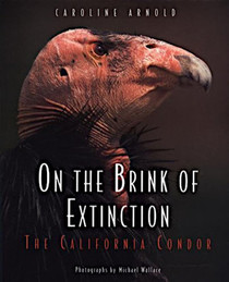 On the brink of extinction: The California condor (Soar to success)