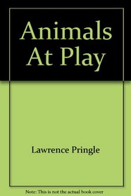 Animals At Play