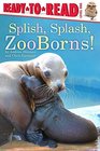 Splish Splash Zoo Borns
