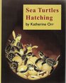 Sea Turtles Hatching