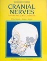 Cranial Nerves Anatomy and Clinical Comments