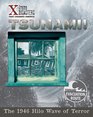 Tsunami The 1946 Hilo Wave Of Terror