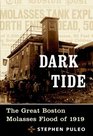 Dark Tide  The Great Boston Molasses Flood of 1919