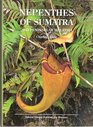 Nepenthes of Sumatra and Peninsular Malaysia