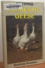 Keeping Domestic Geese