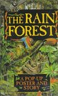 A Rain Forest PopUp Poster And Story