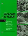 Microbes in Action  A Laboratory Manual of Microbiology