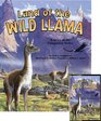 Soundprints' Wild Habitats Land of the Wild Llama A Story of the Patagonian Andes