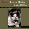 From Rescue Shelter To Home Shelter