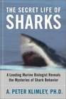 The Secret Life of Sharks A Leading Marine Biologist Reveals the Mysteries of Shark Behavior