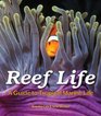 Reef Life A Guide to Tropical Marine Life