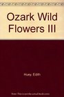 Ozark Wild Flowers III