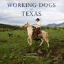 Working Dogs of Texas