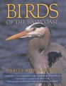 Birds of the Raincoast Habits and Habitat