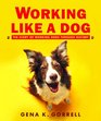 Working Like a Dog The Story of Working Dogs Through History