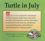Turtle in July