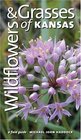 Wildflowers And Grasses Of Kansas A Field Guide