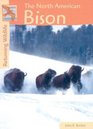 Returning Wildlife  The North American Bison