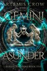 Gemini Asunder: Zodiac Assassins Book 5