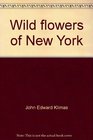 Wild flowers of New York