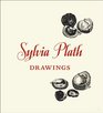 Sylvia Plath Drawings