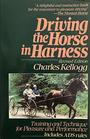 Driving the Horse
