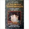 Cauldron of Transformation A New Vision of Wicca for Modern Pagan Practice