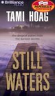 Still Waters (Audio Cassette) (Abridged)