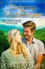 Charming the Troublemaker (Mitchell's Crossroads, Bk 2)