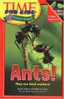 Time For Kids Ants