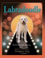 Labradoodle Comprehensive Owner's Guide