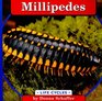 Millipedes