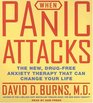 When Panic Attacks CD The New DrugFree Anxiety Treatments That Can Change Your Life