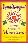 Living Through the Meantime : Learning to Break the Patterns of the Past and Begin the Healing Process