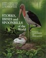 Storks Ibises and Spoonbills of the World