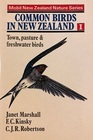 Common Birds in New Zealand